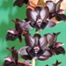 Fdk. Dark There After