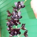 Fdk. Dark There After