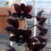 Fdk. Dark There After