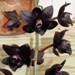Fdk. Dark There After