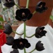 Fdk. Dark There After